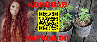 спиды Севастополь