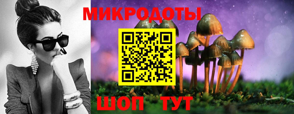 Протвино  Галлюциногенные грибы GOLDEN TEACHER  купить   Вход с VPN 