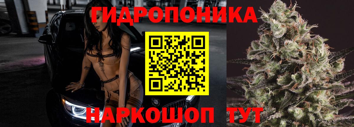 Протвино  Бошки Шишки Bruce Banner  Бошки Шишки план  Вход с VPN 